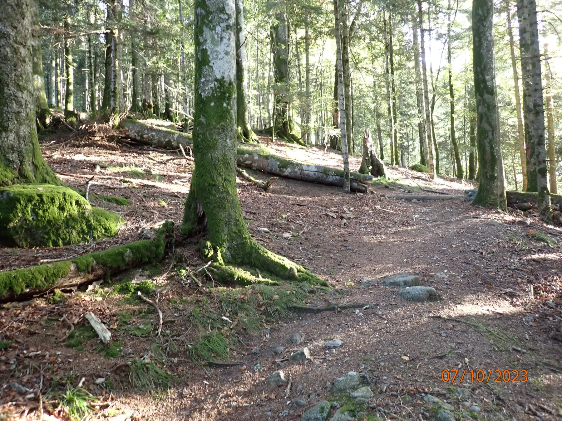 Marche populaire – 2024 — Cercle Sainte Marie d'Oderen (8)