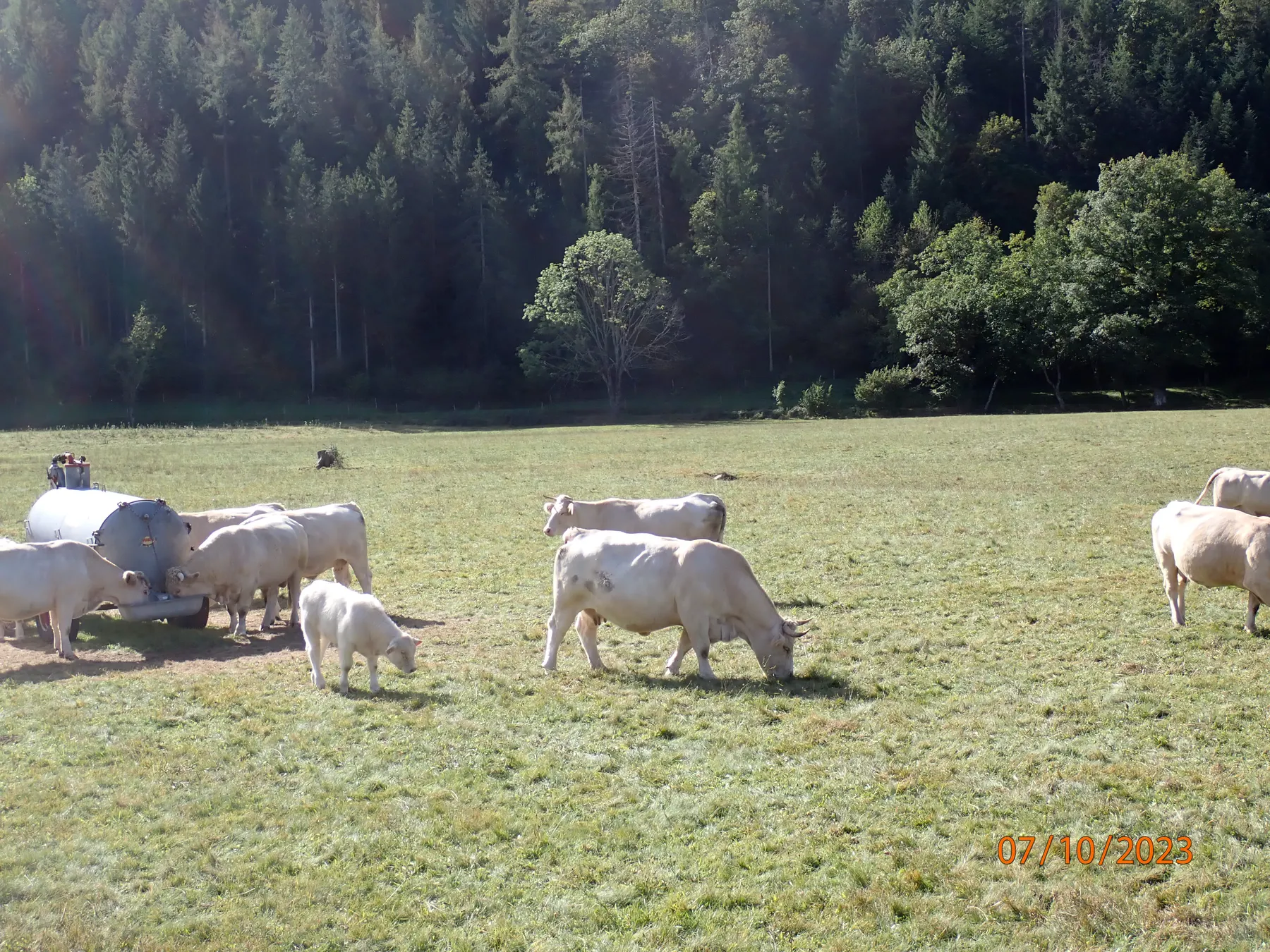 Marche populaire – 2024 — Cercle Sainte Marie d'Oderen (16)